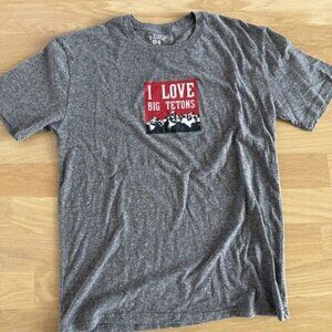 LOOK!! Grand Tetons Jackson Hole T Shirt Mens Large Blue 84 Soft Cotton Blend